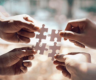 contribution puzzle